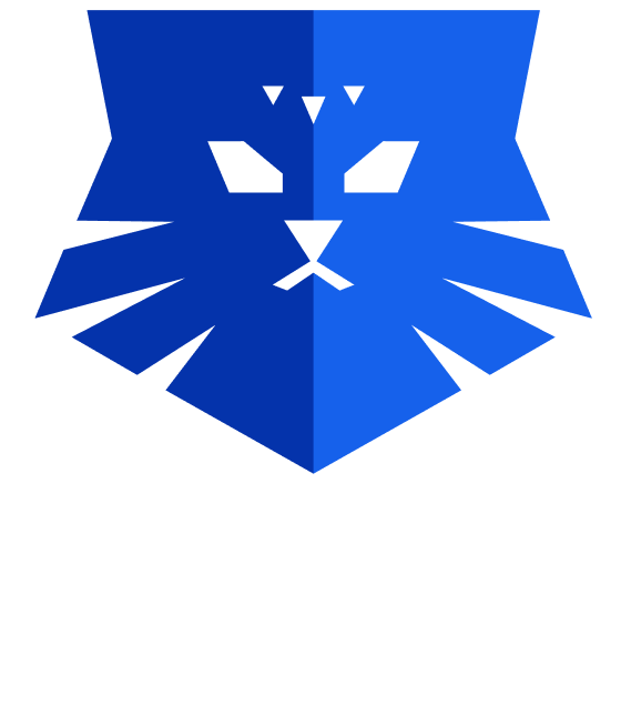 Чемпионат России по компьютерному спорту 2025