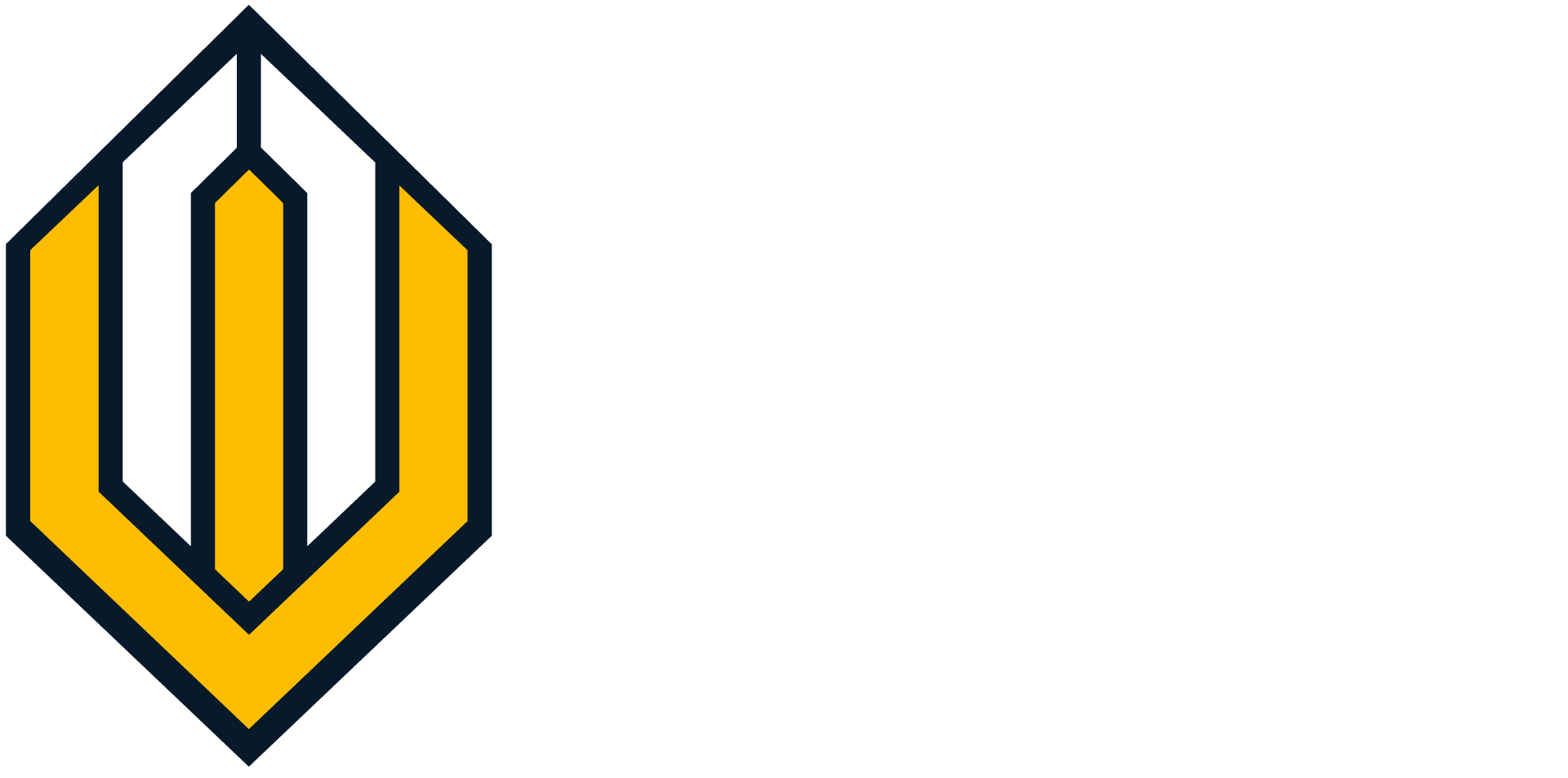Всероссийская интеллектуально-киберспортивная школьная лига