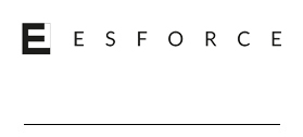 Esforce Holding